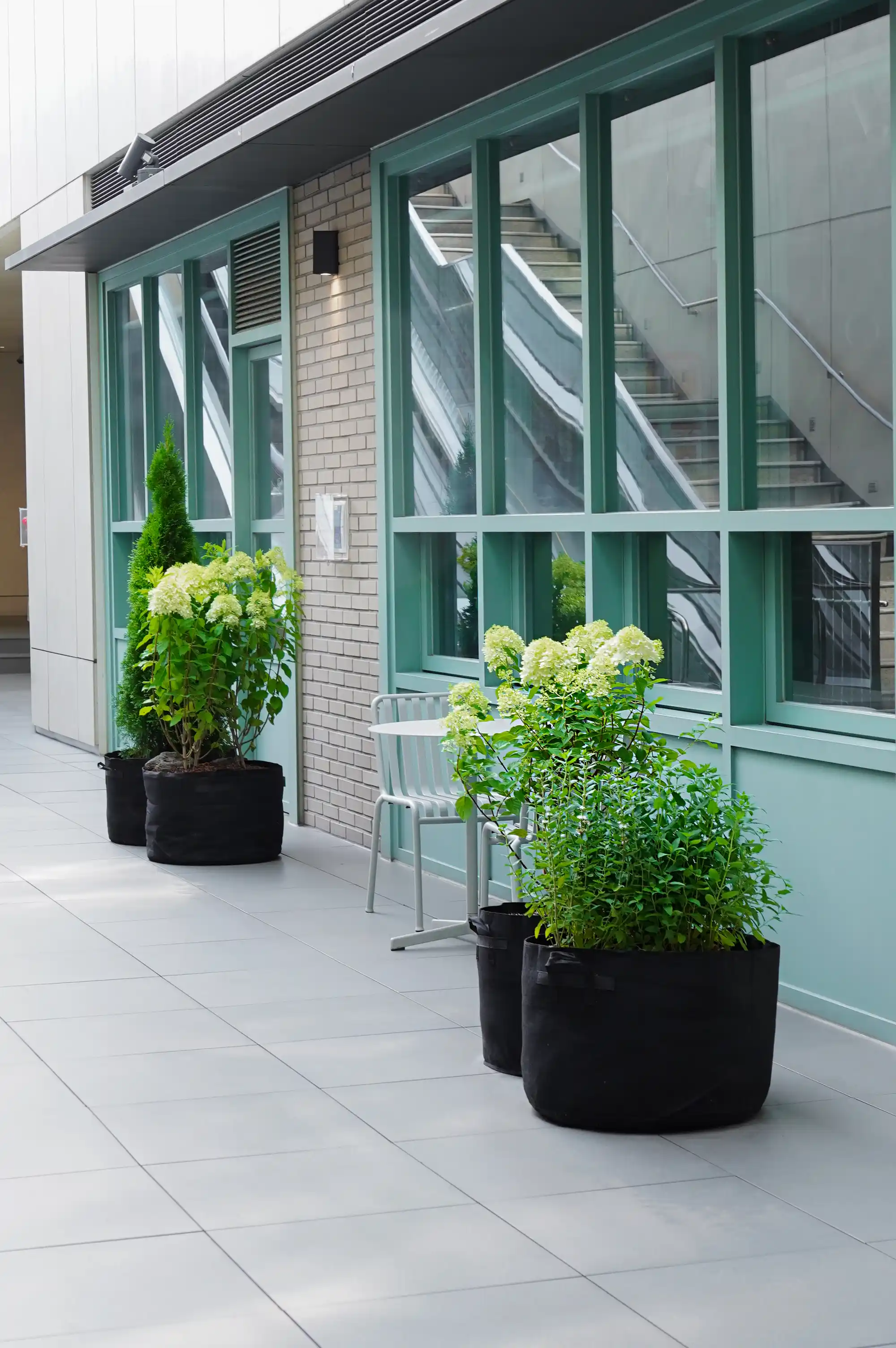 민트색 창문 앞에 대형 화분들이 놓여 있는 모습
