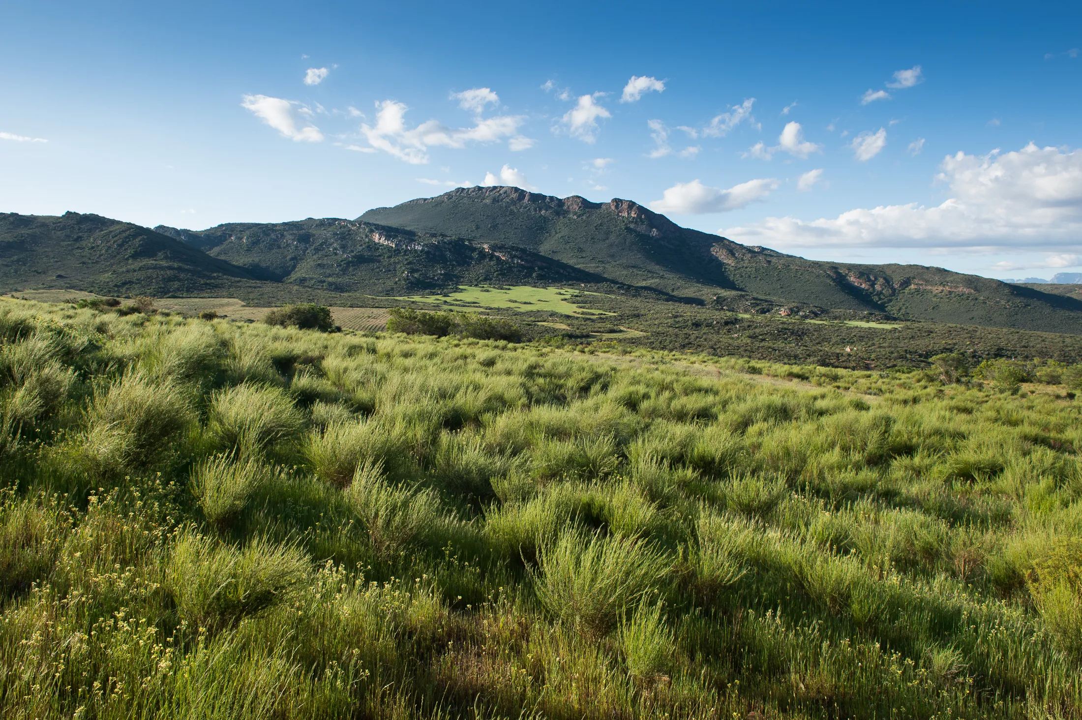 Cederberg