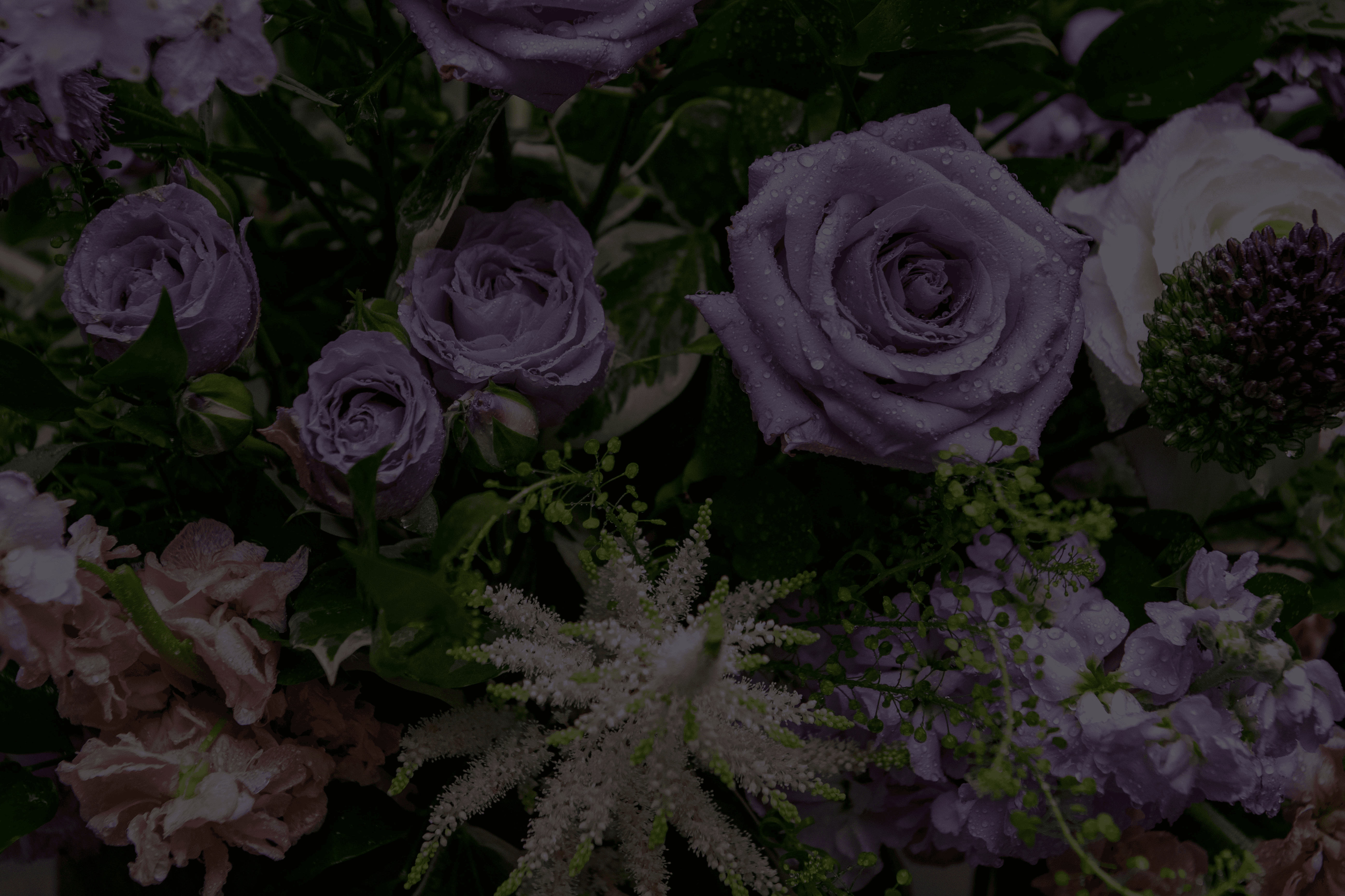 Close-up of a vibrant bouquet featuring purple roses, white flowers, and lush greenery, adorned with water droplets.