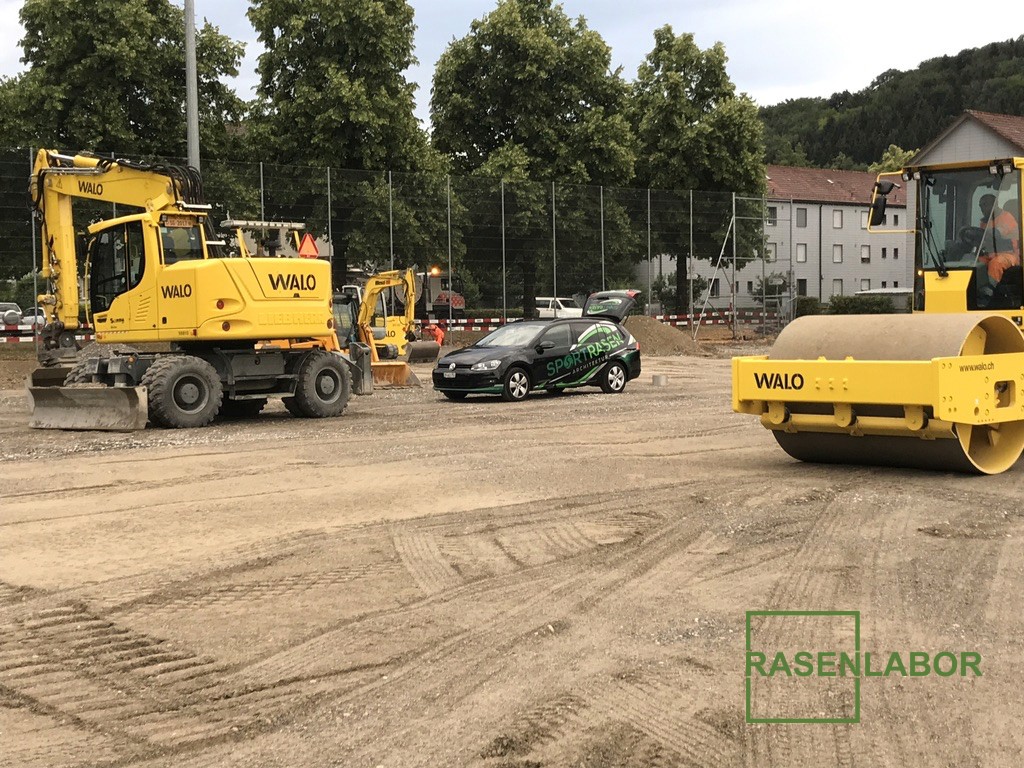 Gesunder grüner Rasen auf Sportfläche