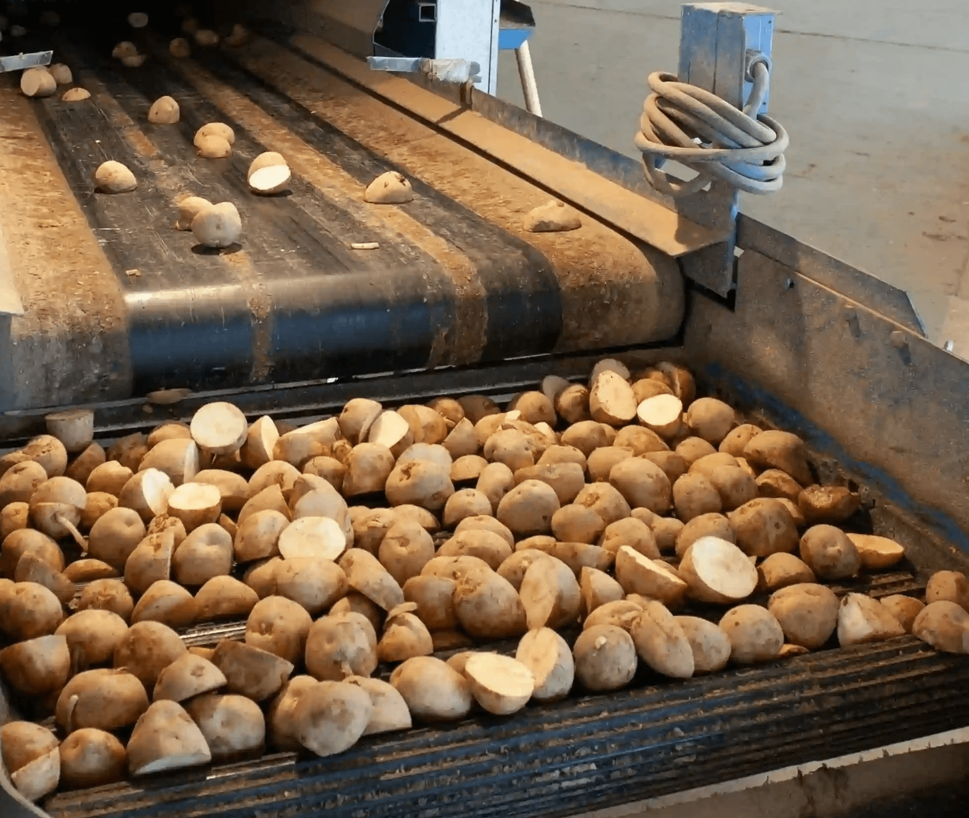 Modern SaaS dashboard showing total sales, revenue, customer data, and performance analytics with interactive charts and graphs.