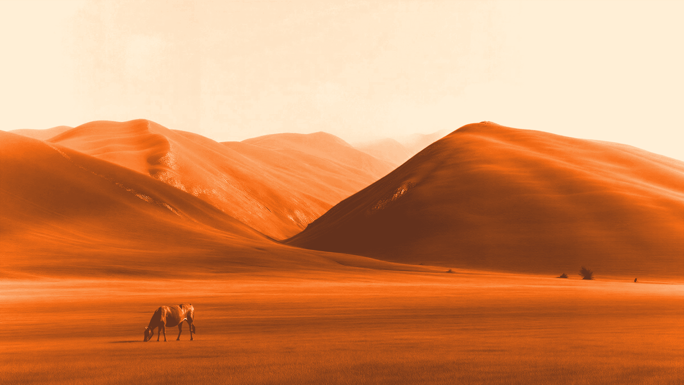 From ideas to impact a comprehensive guide to growing your brand