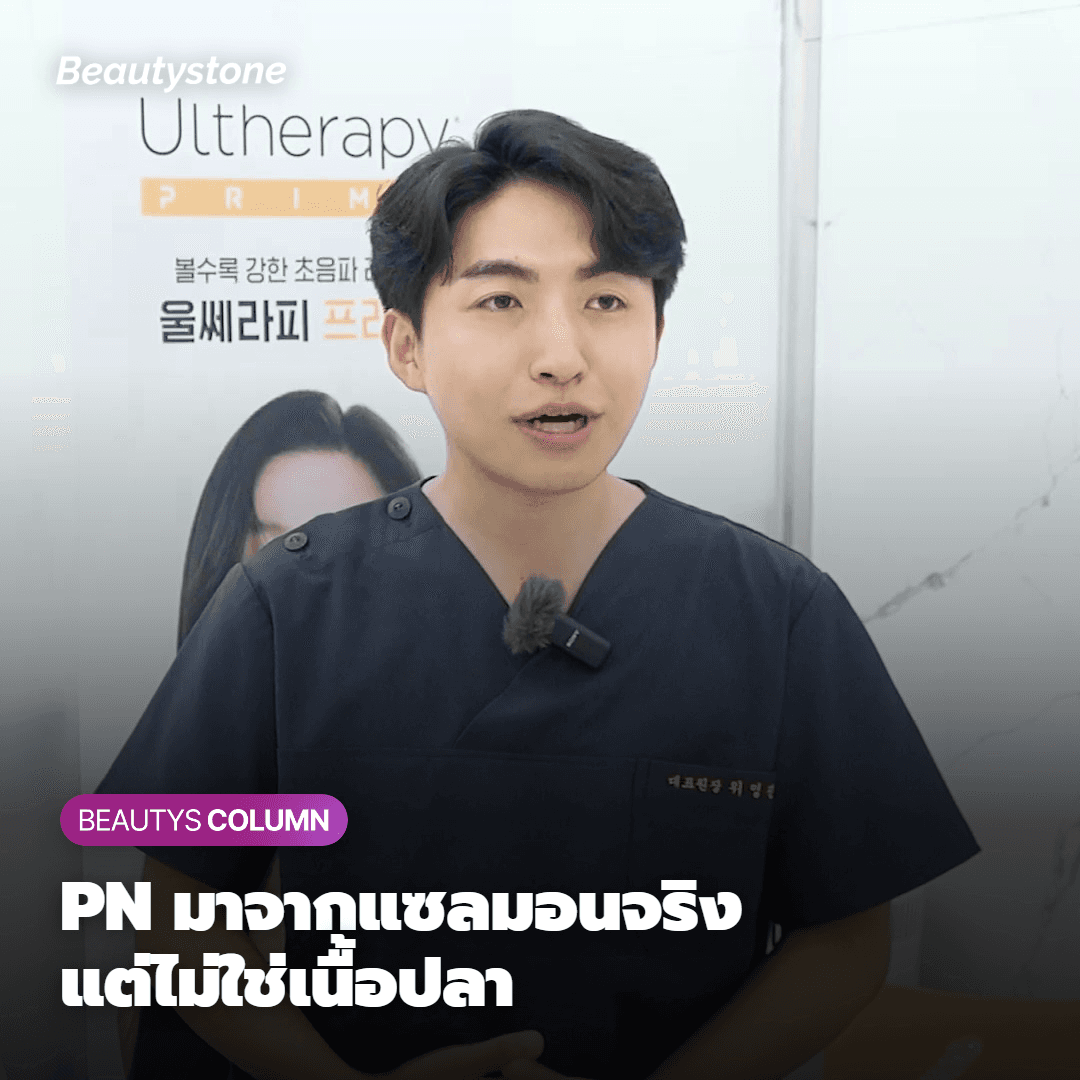คำอธิบายหลักการของส่วนผสมรีจูรัน PN