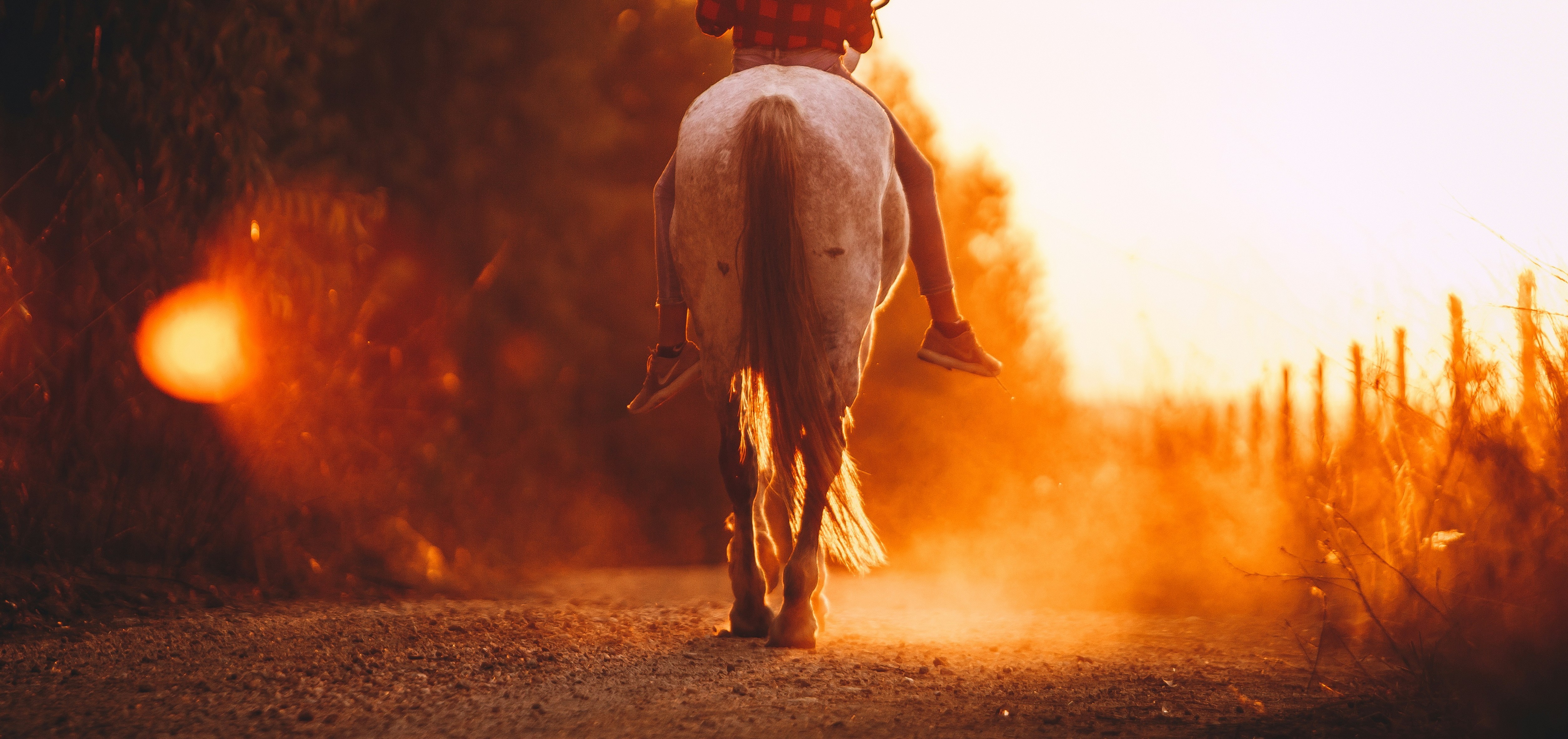 Person riding a horse bareback into the setting sun