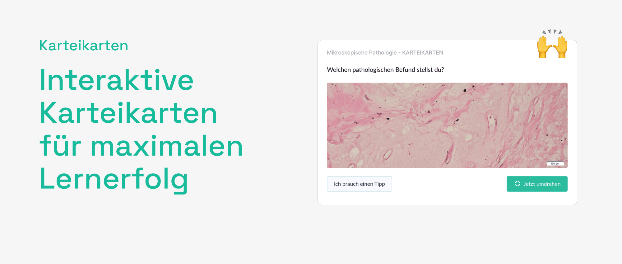 MedIbk Erklärbild 2