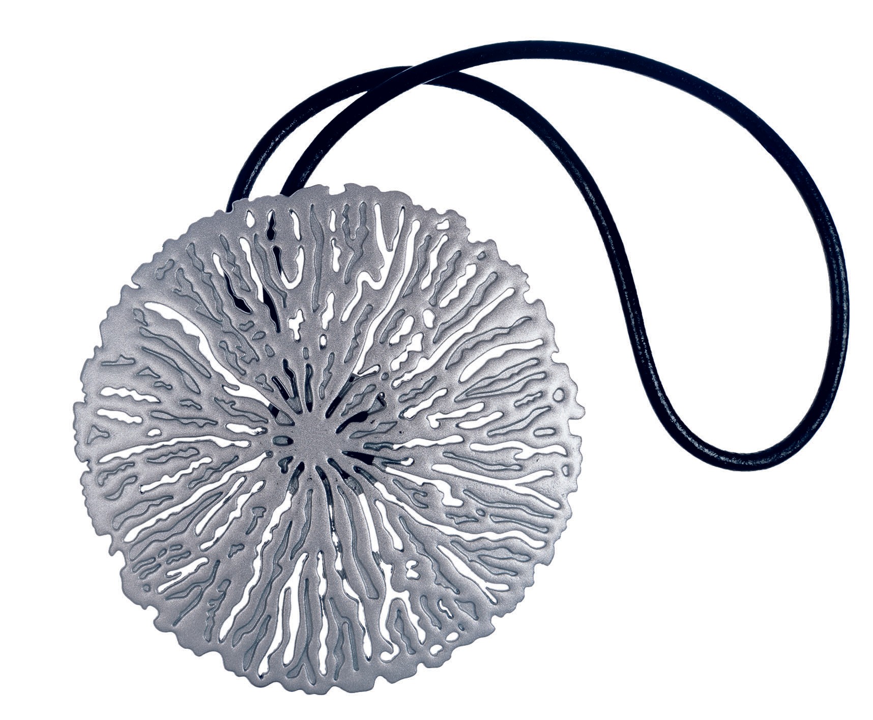 Cargo-import-accessori