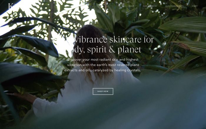 Example website