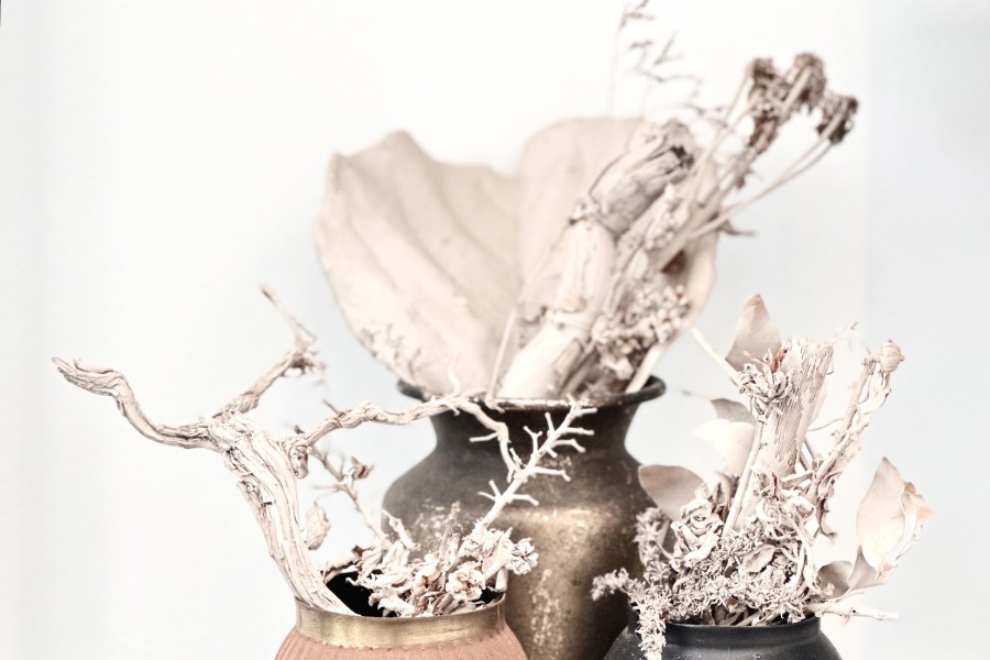 Artistic dried flower compositions in pale shades