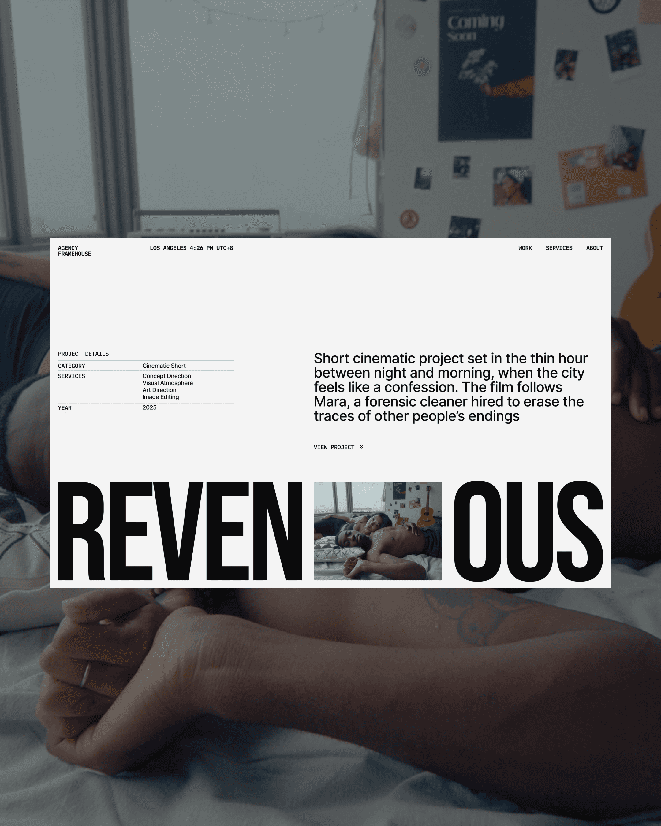 project details user interface