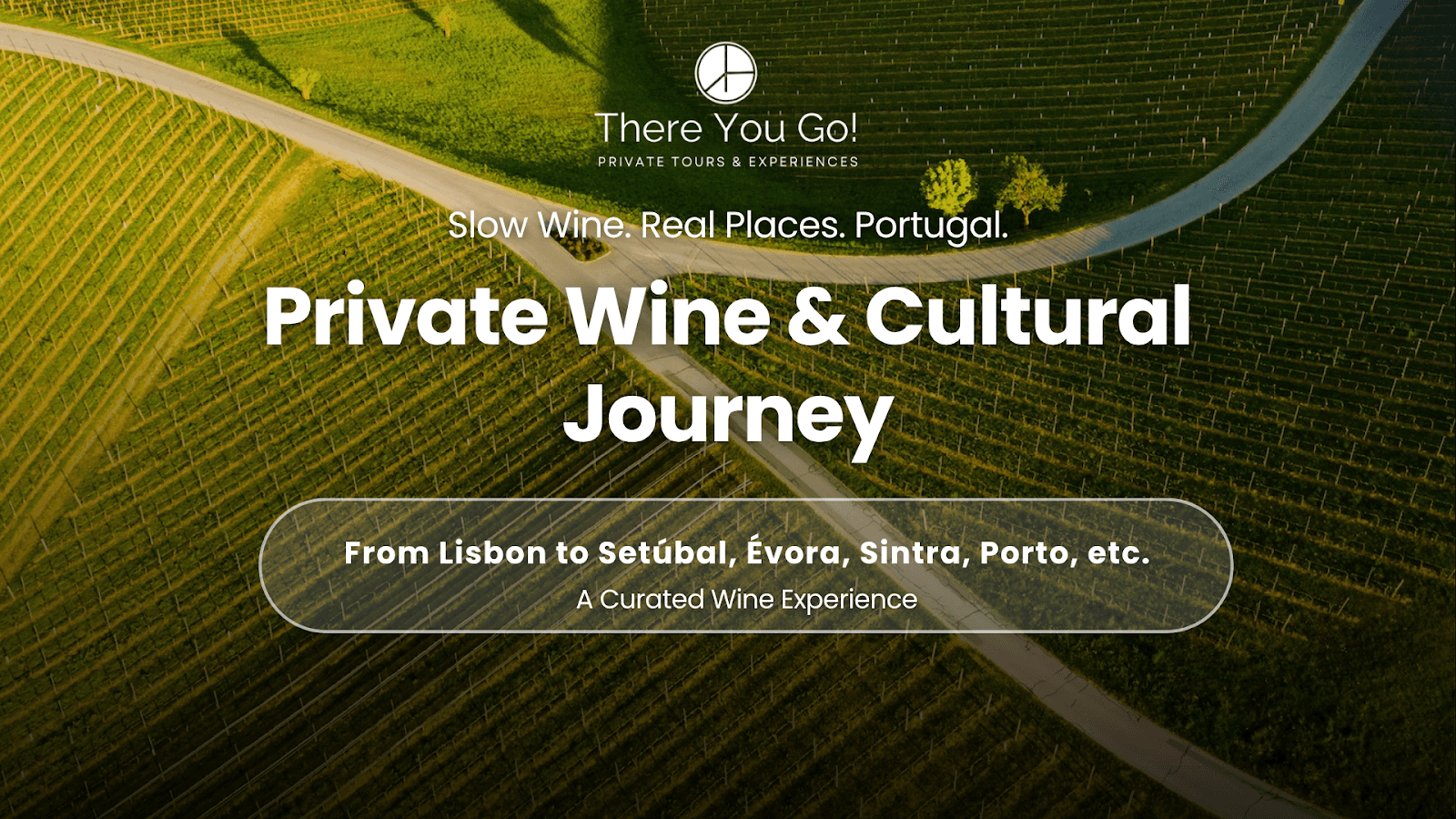 Aerial view of green vineyard rows intersected by winding road in Portuguese countryside.