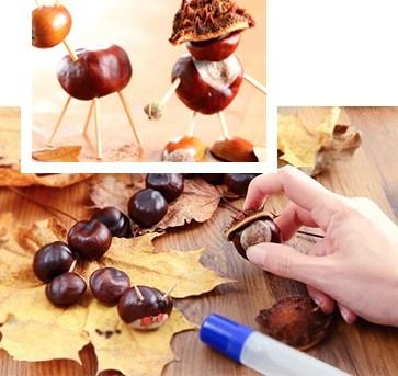 Autumn tips: crafting with chestnuts