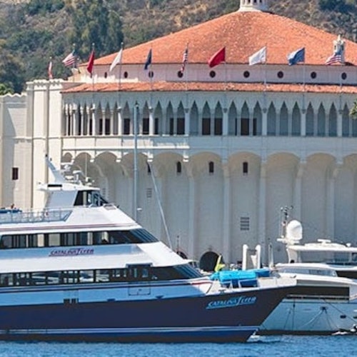 Catalina Island with Zipline Eco Tour