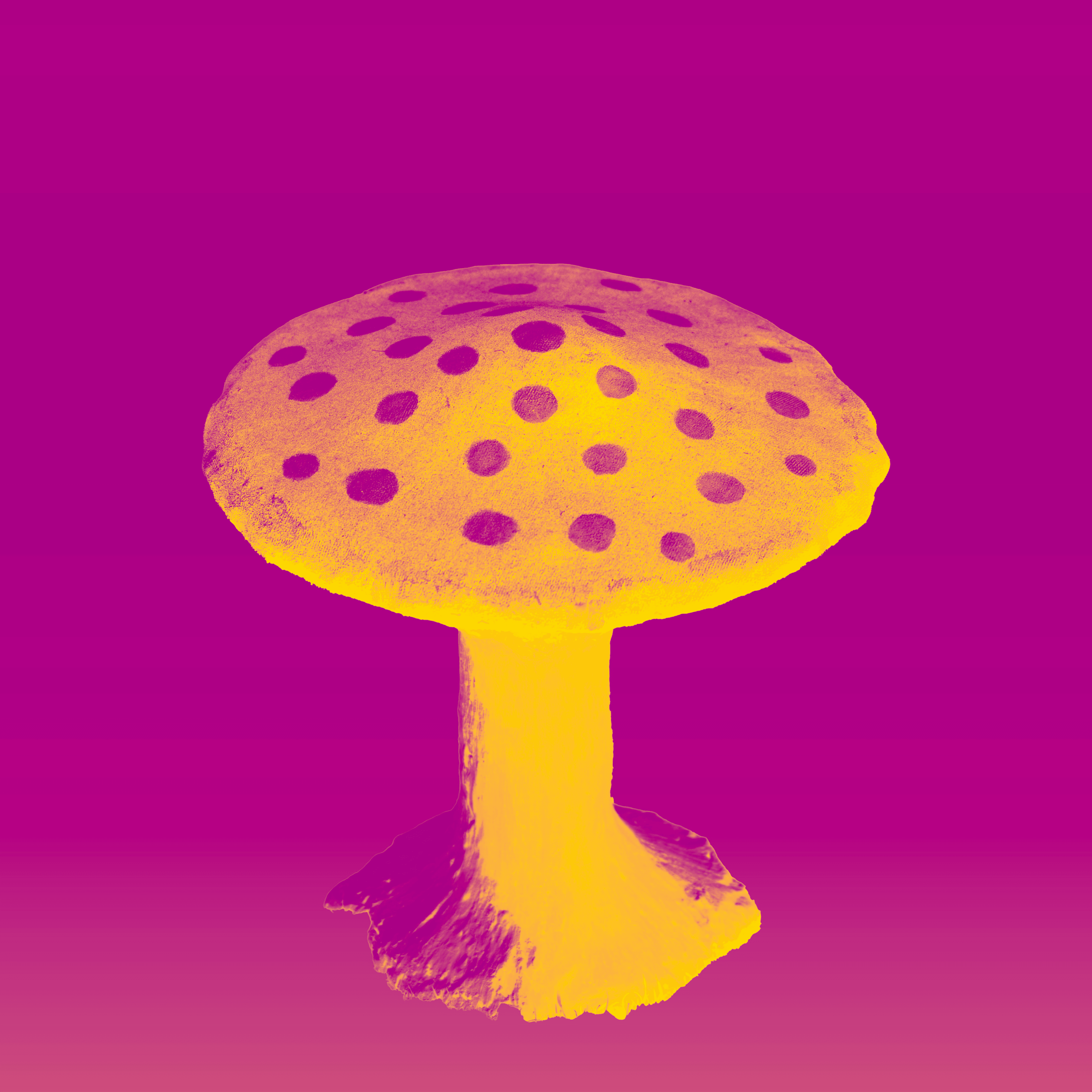 Bright mushroom on magenta background