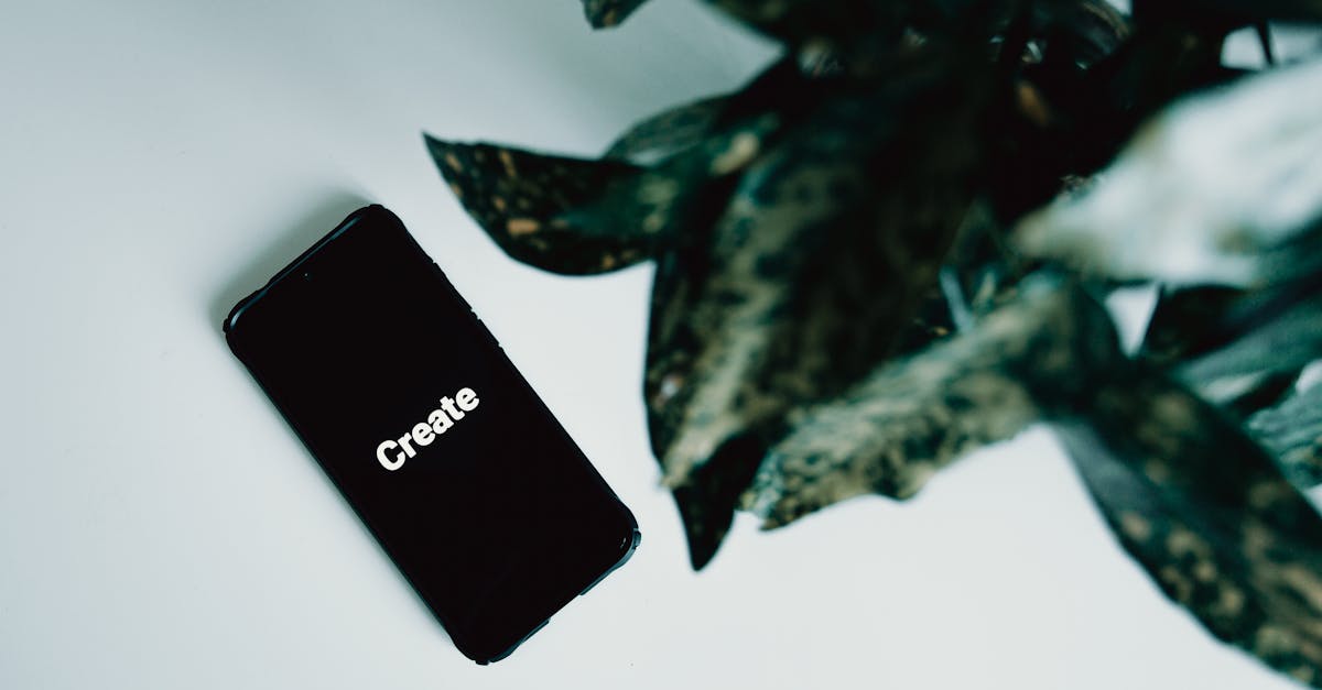 Minimalist photo of a smartphone displaying 'Create' next to green leaves on a white background.