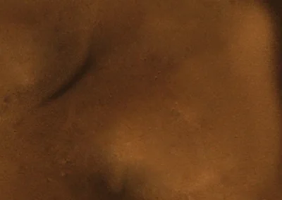 Metallic Color Samples - Coffee