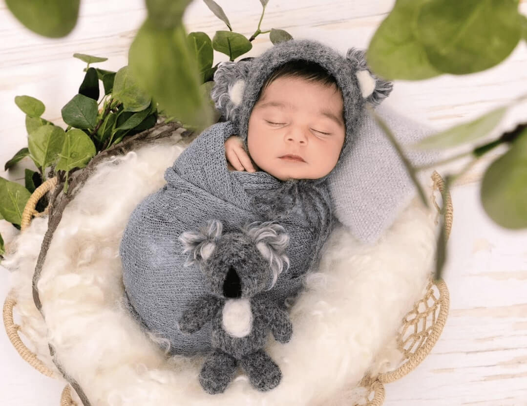 Newborn baby in a koala costume as a concept of how to become a newborn photographer