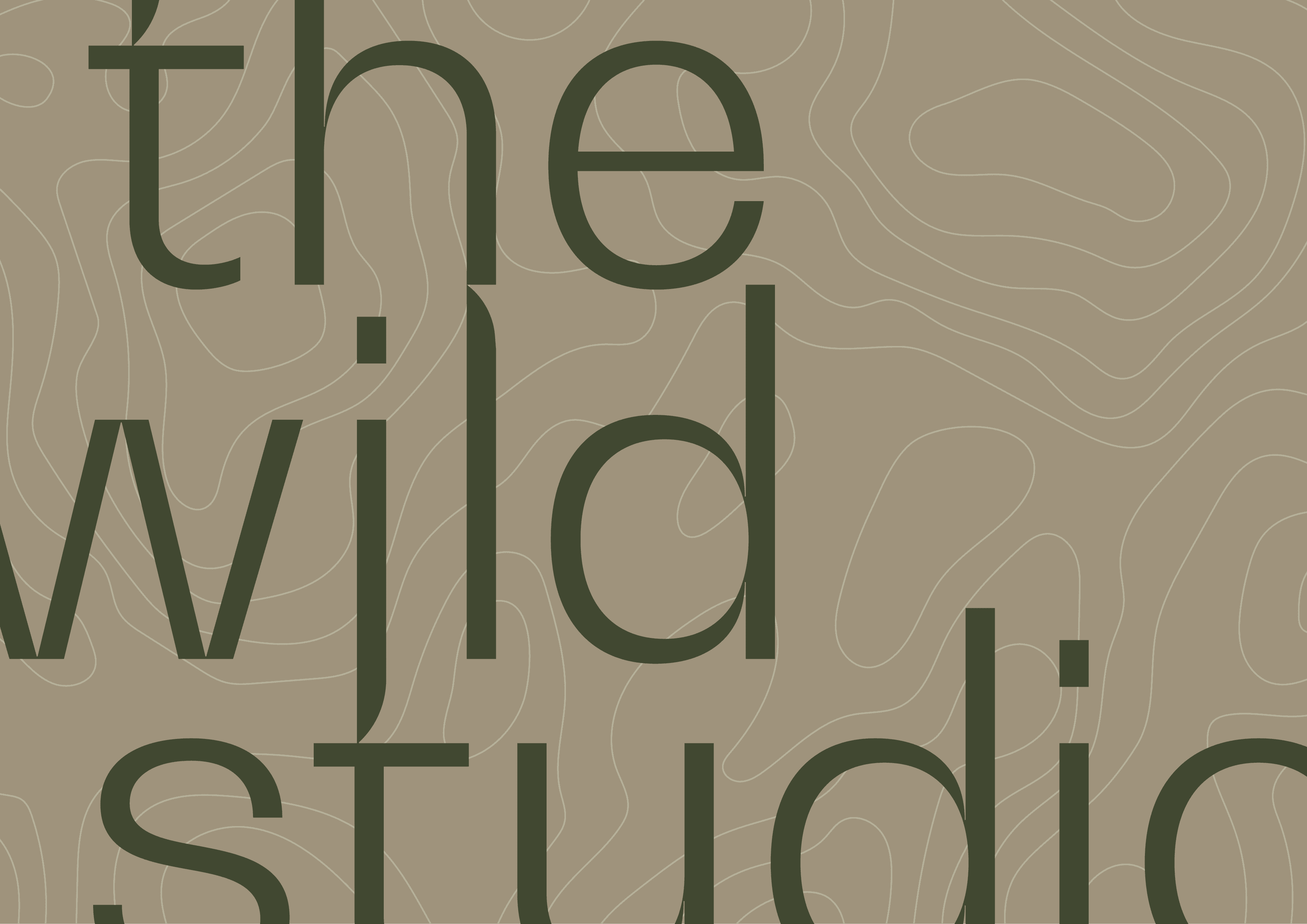 The Wild Studio brand leap