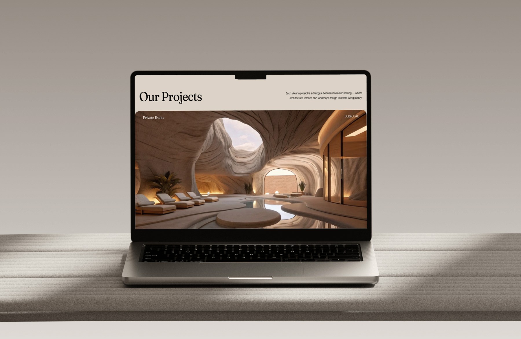 Veluna Project detail image