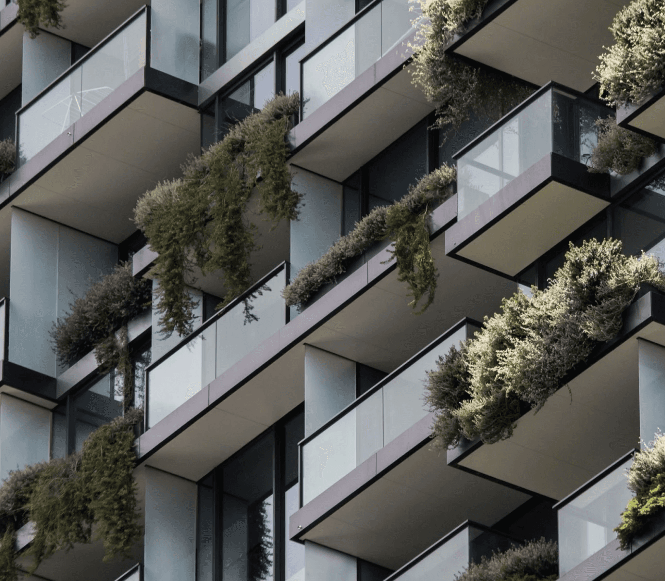 Apartment balconies with trailing plants.