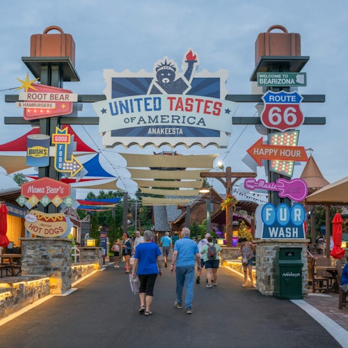 הטעמים המאוחדים של אמריקה באנקיסטה