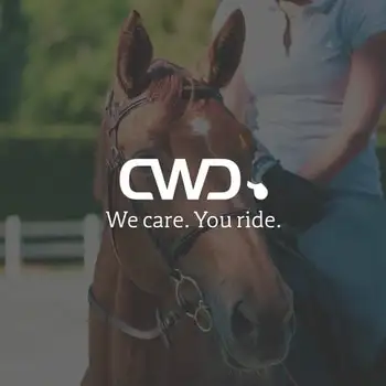 Miniature du projet motion design pour cwd