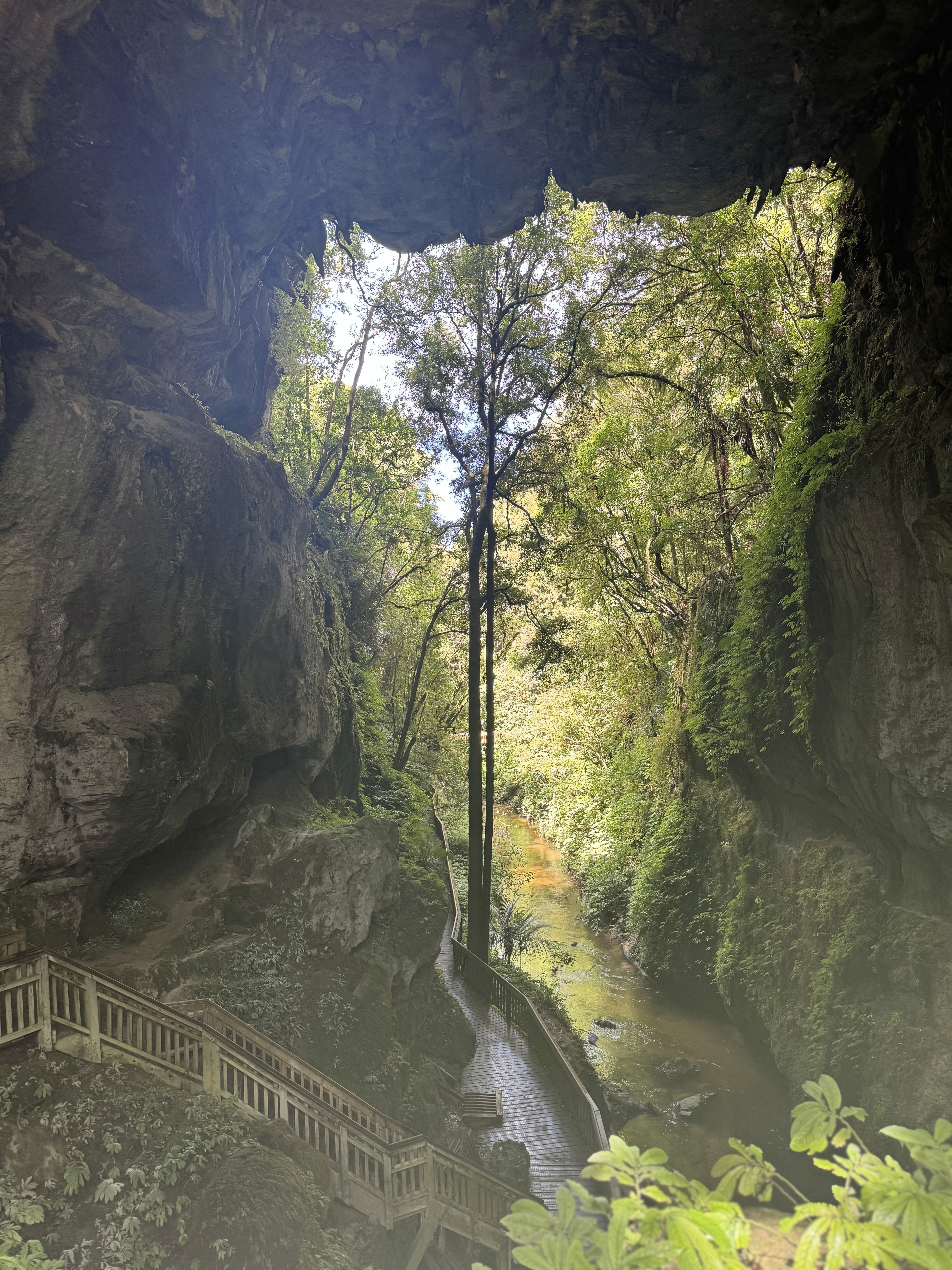 The Mangapohe Natural Bridge and the Mangapohue stream as seen from the natural bridge