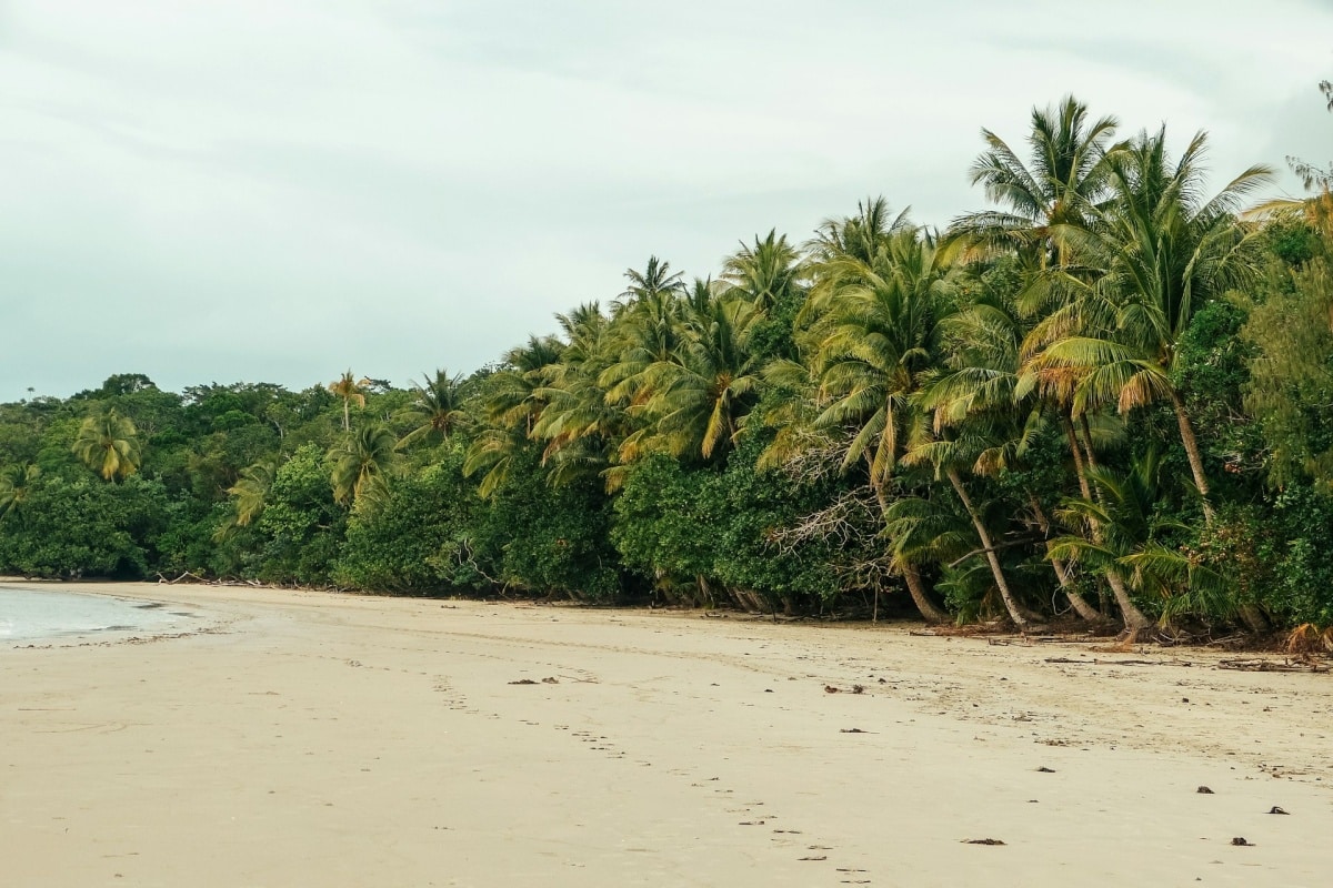 cape tribulation beach