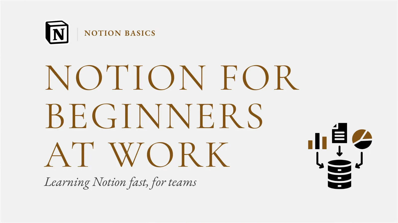 Notion for beginners at work