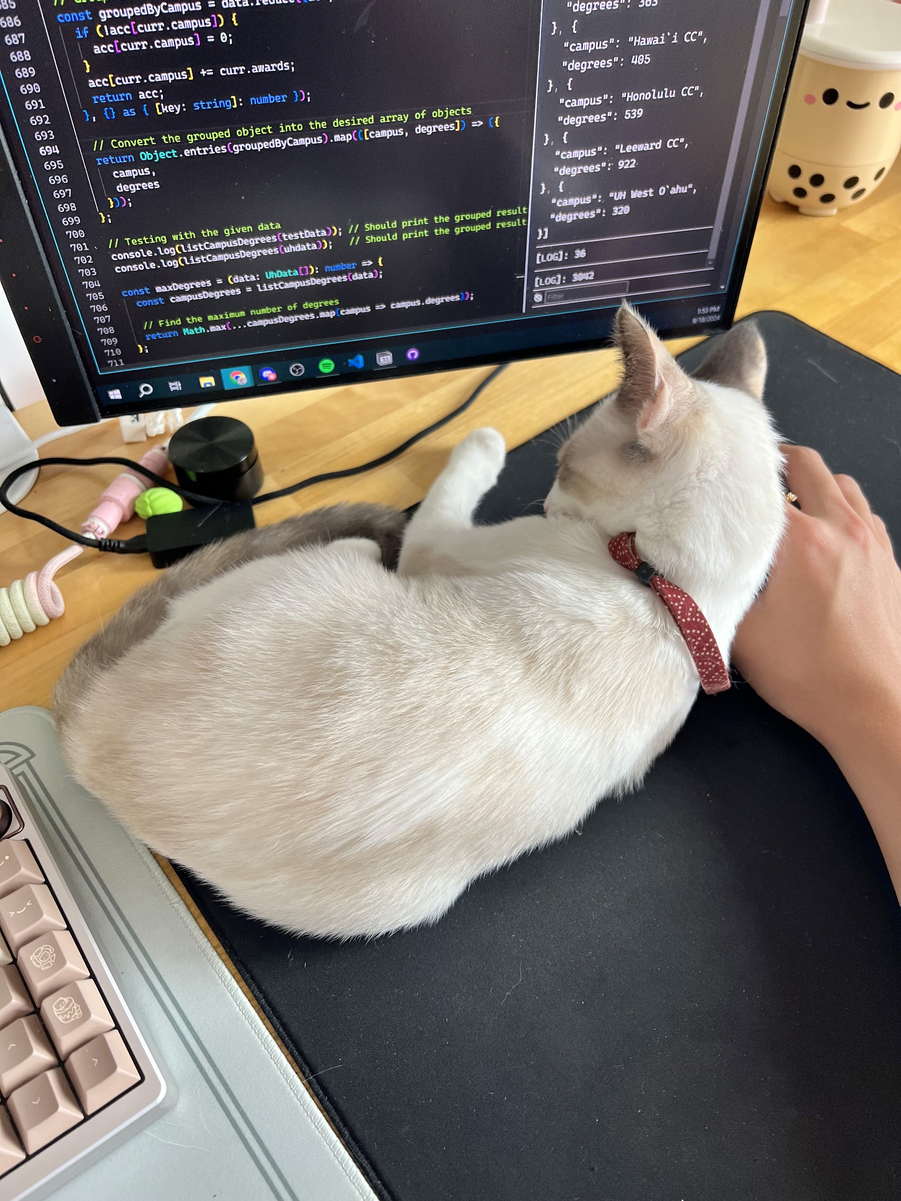 Debugging with an expert bug catcher