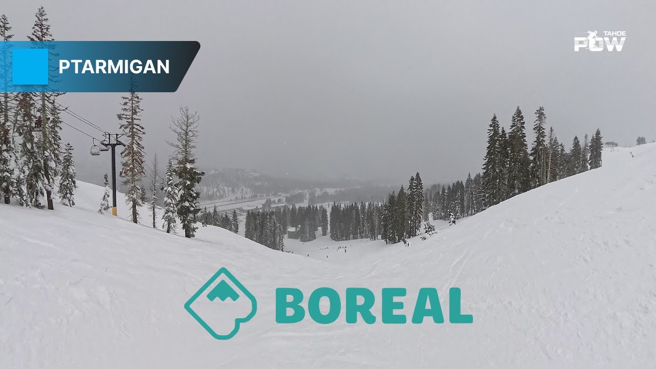 Ptarmigan Boreal – Smooth Intermediate Run via 49er Lift