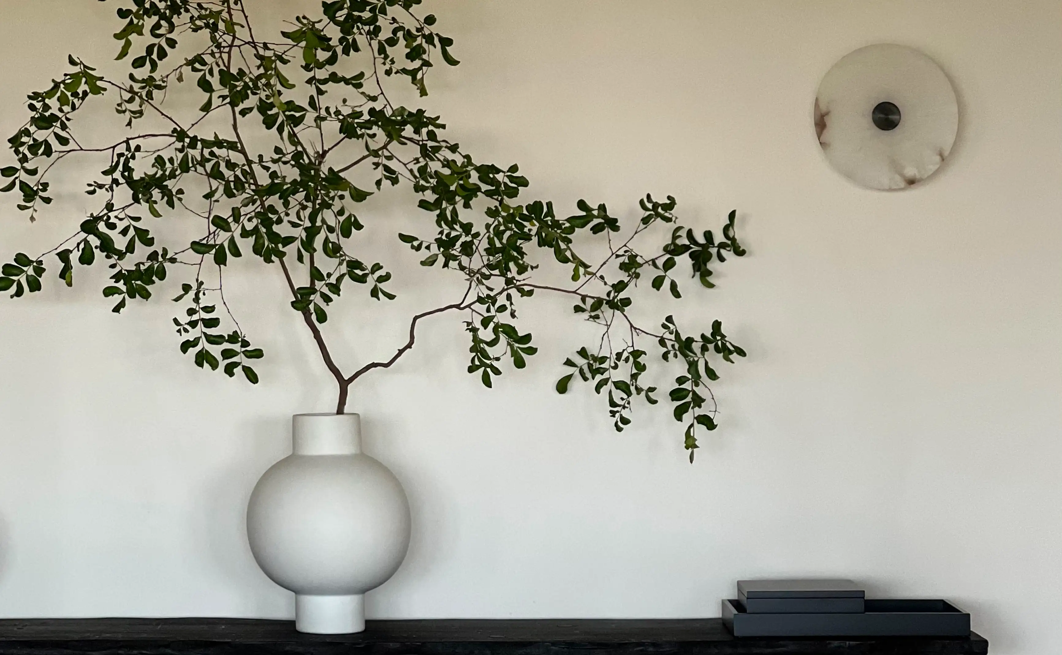 Rama verde en jarrón blanco esférico para diseñadores de interiores que buscan equilibrio entre forma escultórica y serenidad visual.