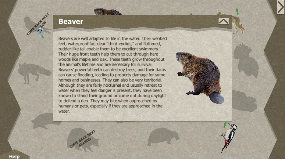 Learn about each animal you find
