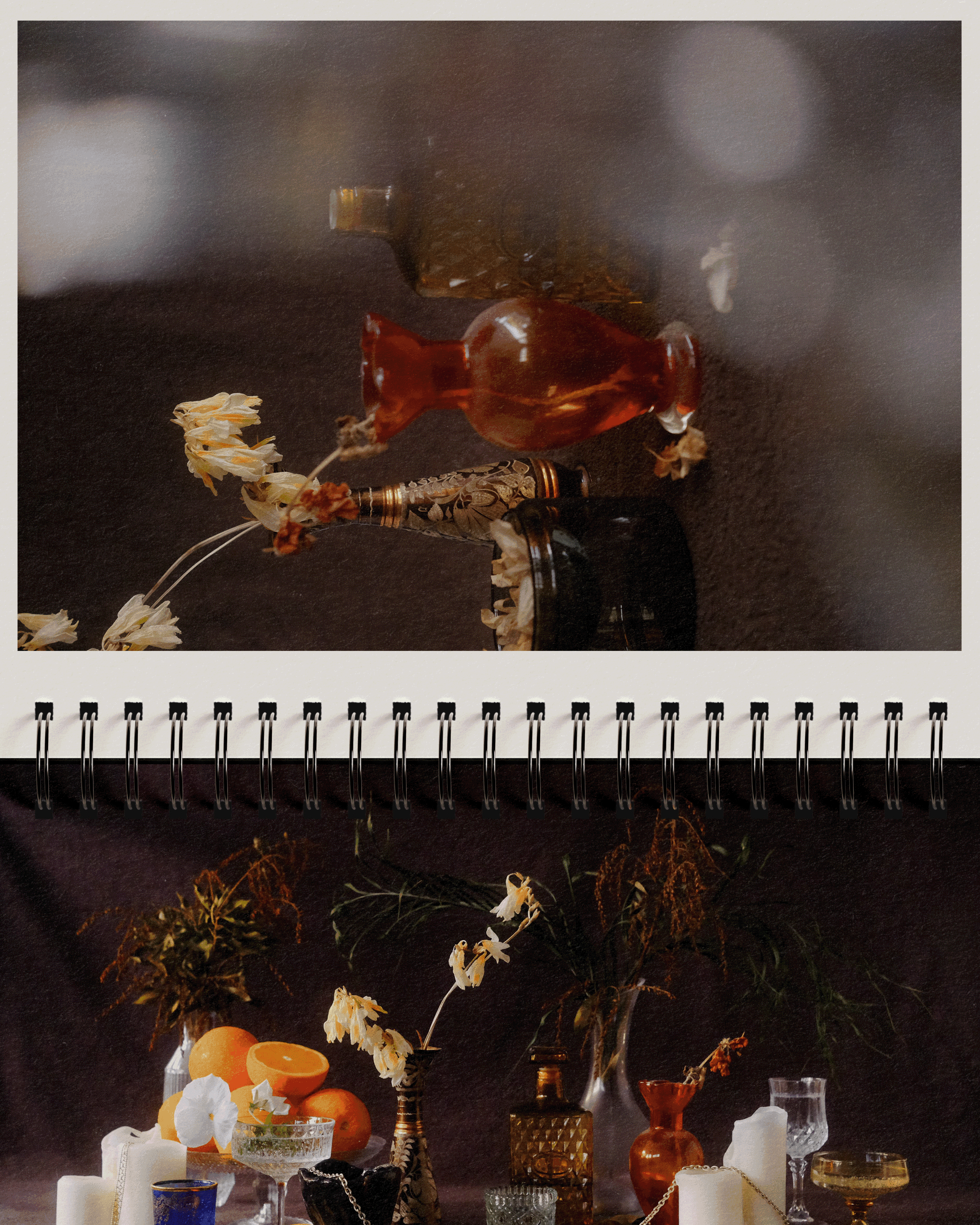 objects of desire - brand identity design & photography by selina donohoe for vintage decorative objects brand