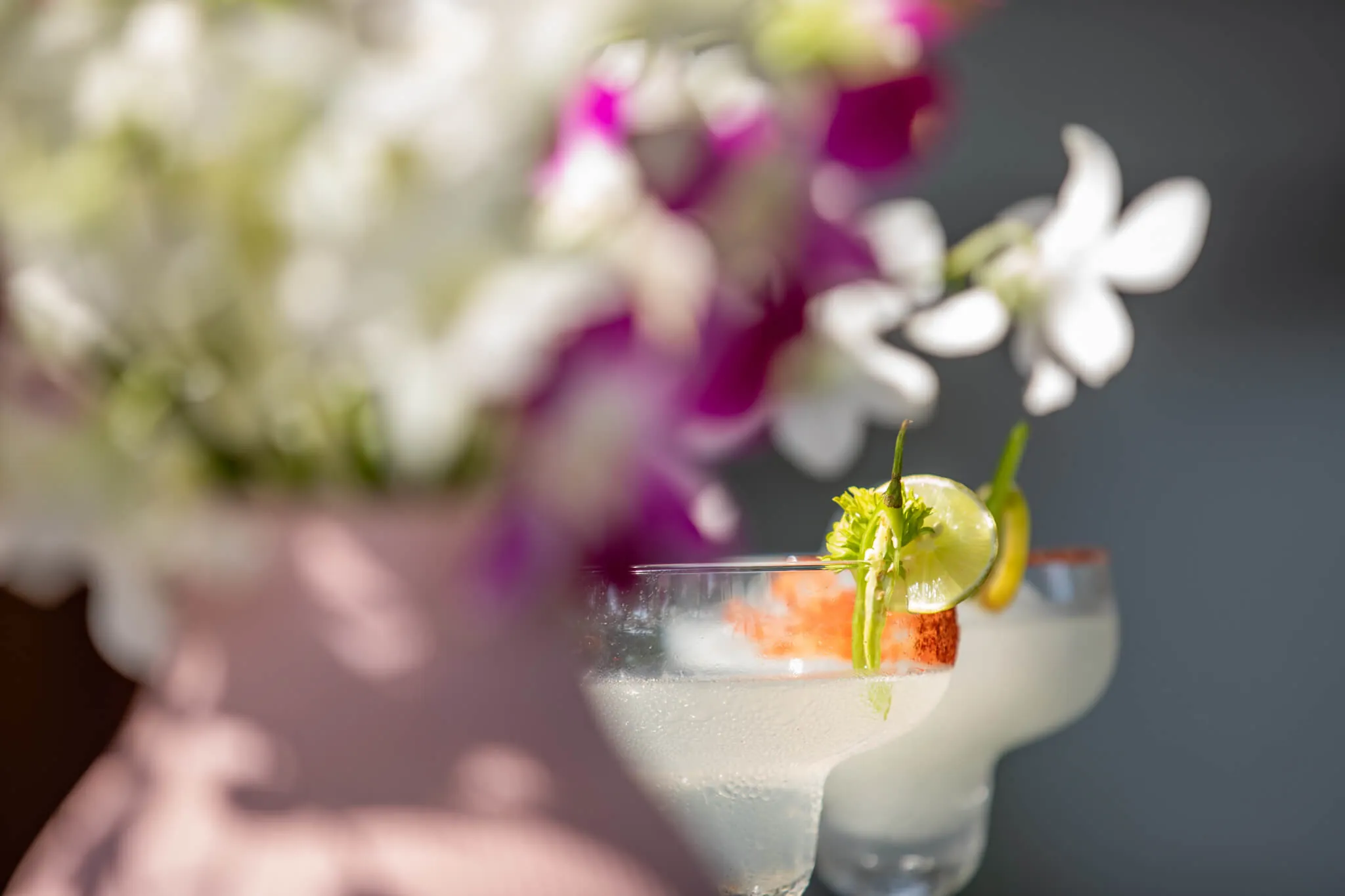 Cocktail hour details at Jaali Kitchen, Casa Jaali