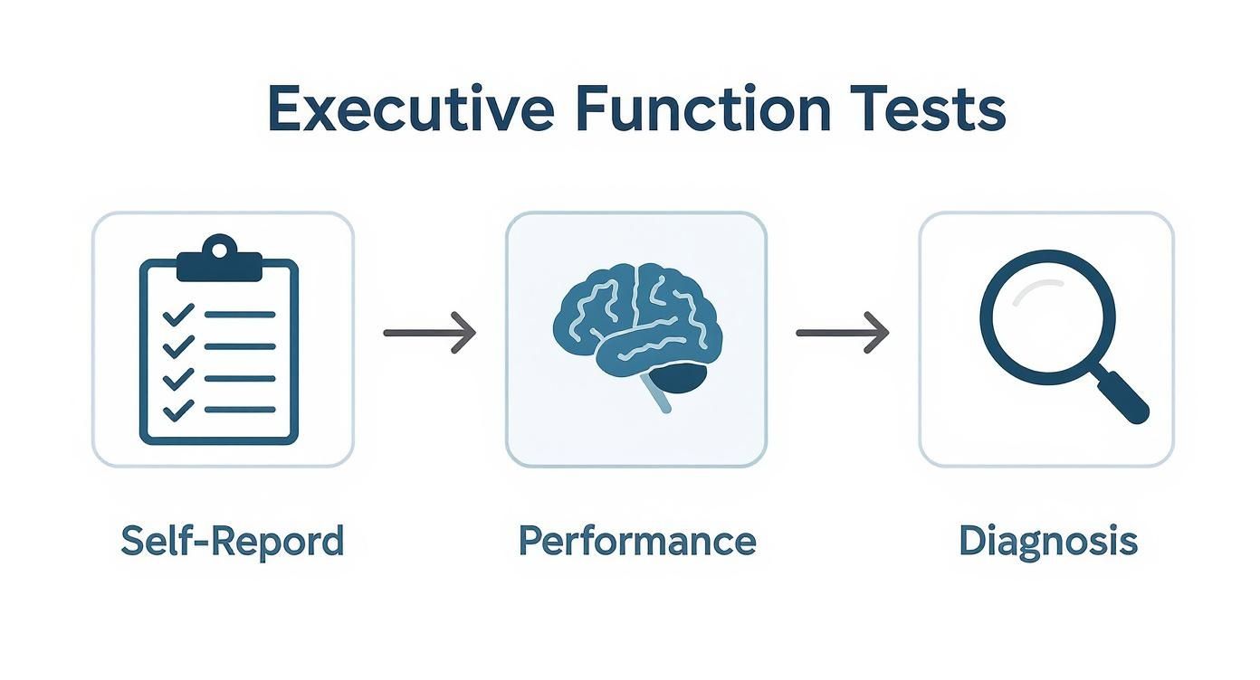 Infographic about test for executive dysfunction