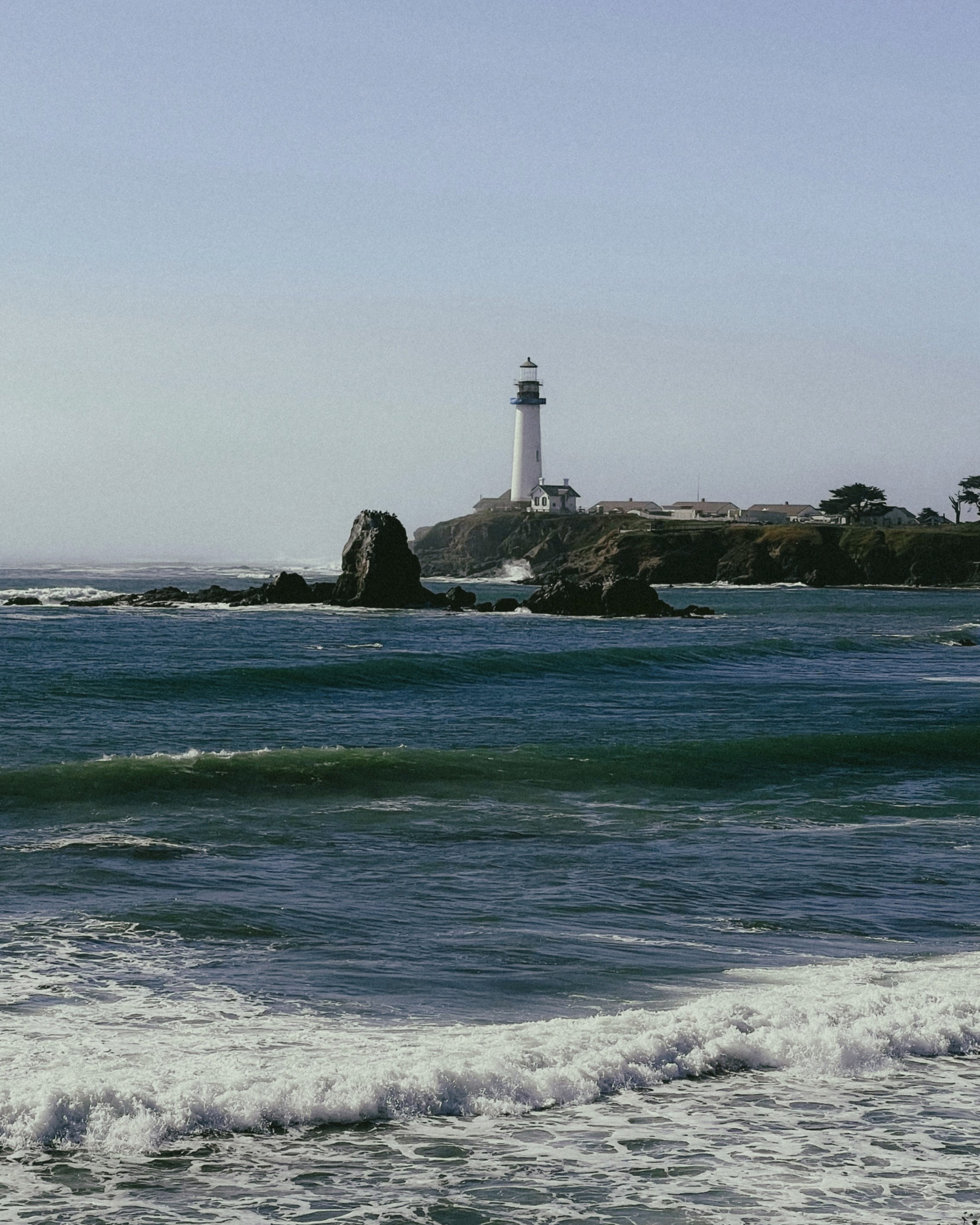 Group of friends smiling on a lively city street at night