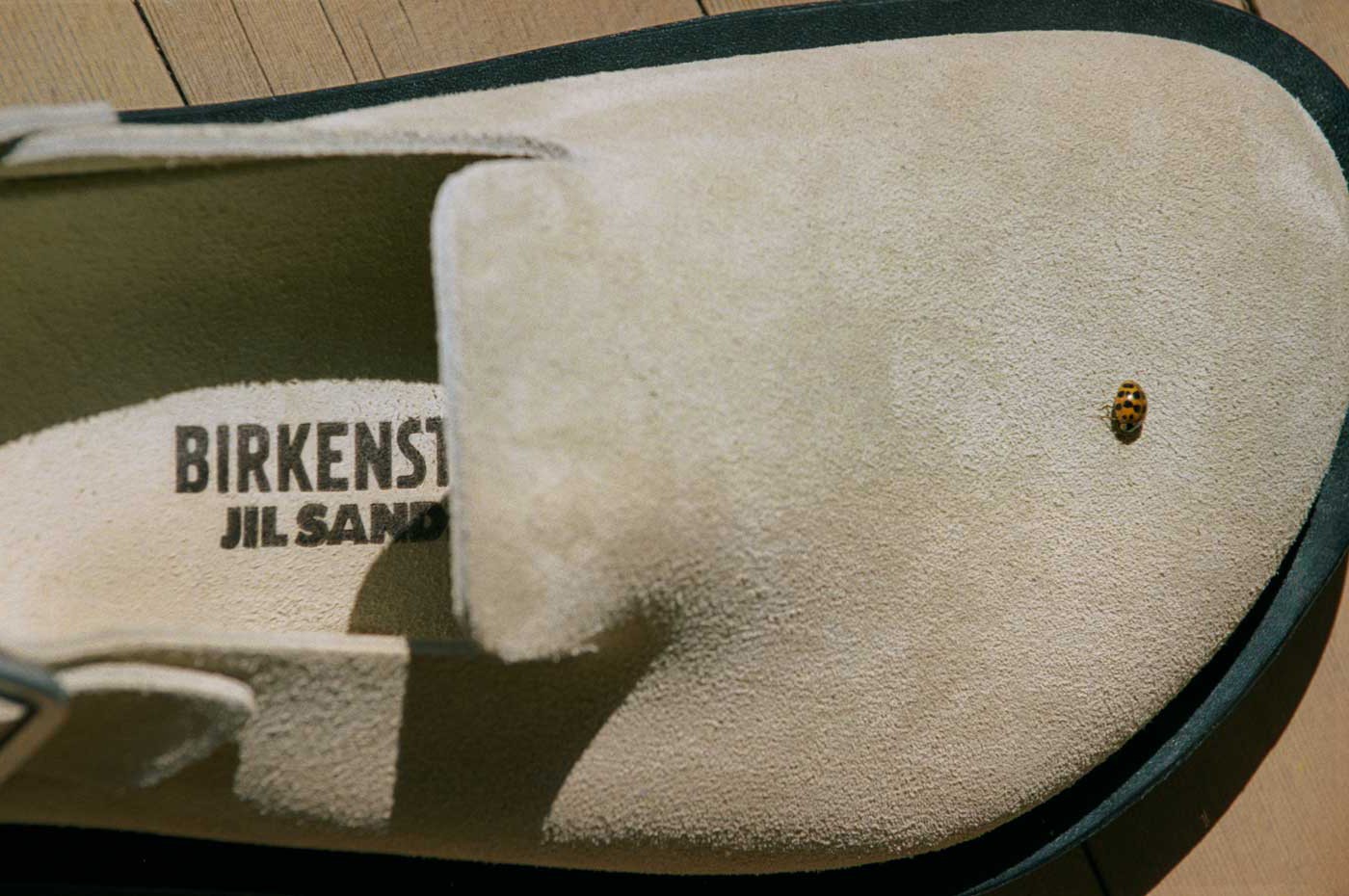 Close-up of suede sandal insole with "Birkenstock Jil Sander" branding and a small ladybug on it.