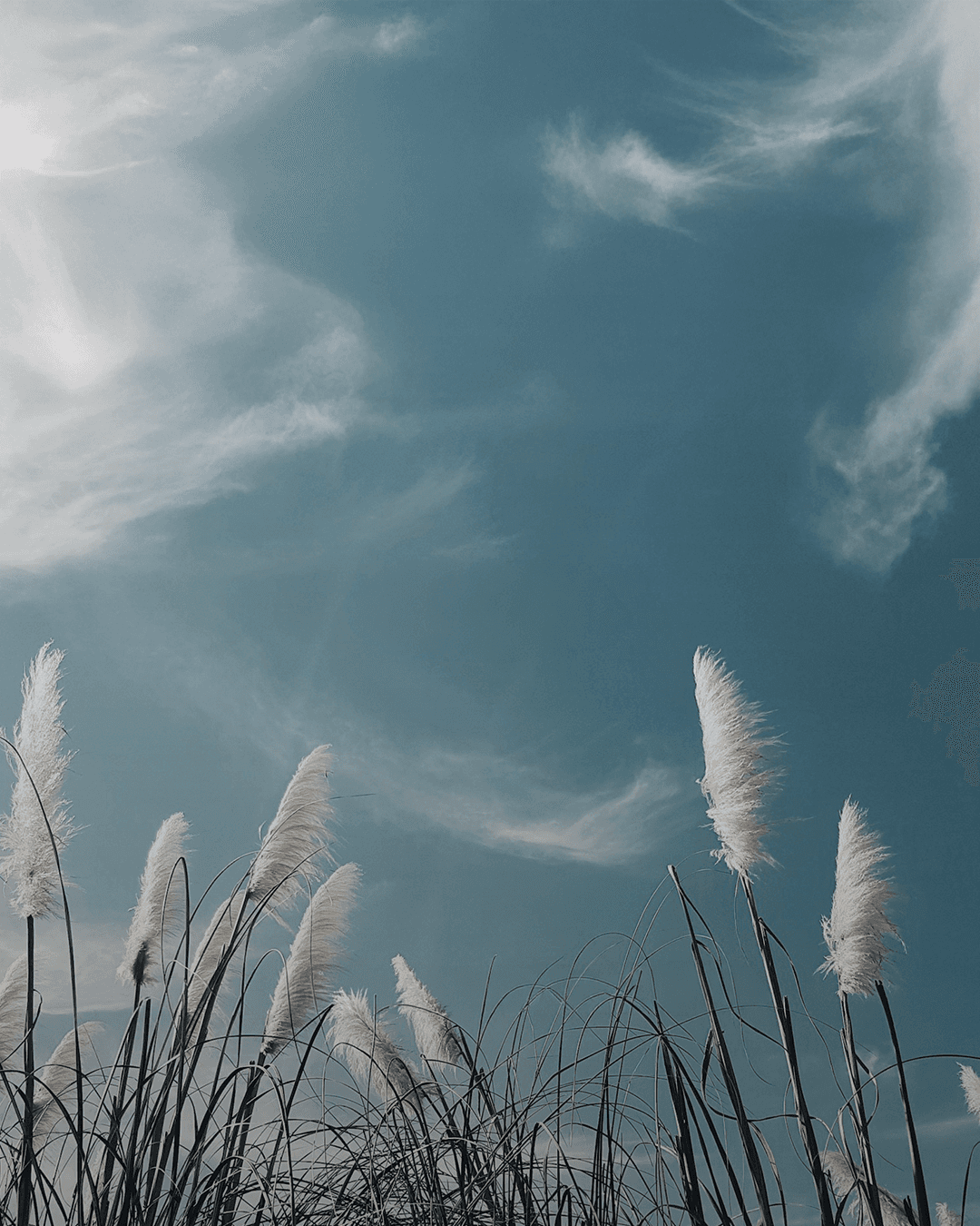 A detailed painting of mountains, a river, and a stag in a dramatic natural scene