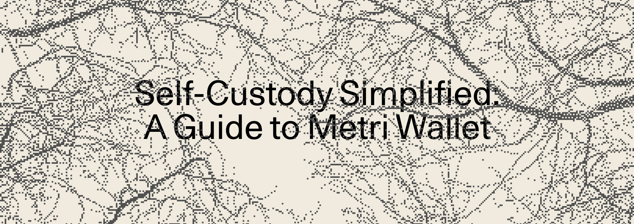 Self-Custody Simplified: A Guide to Metri Wallet