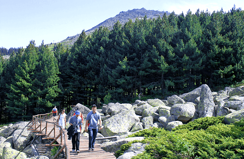 Hike Vitosha Mountain