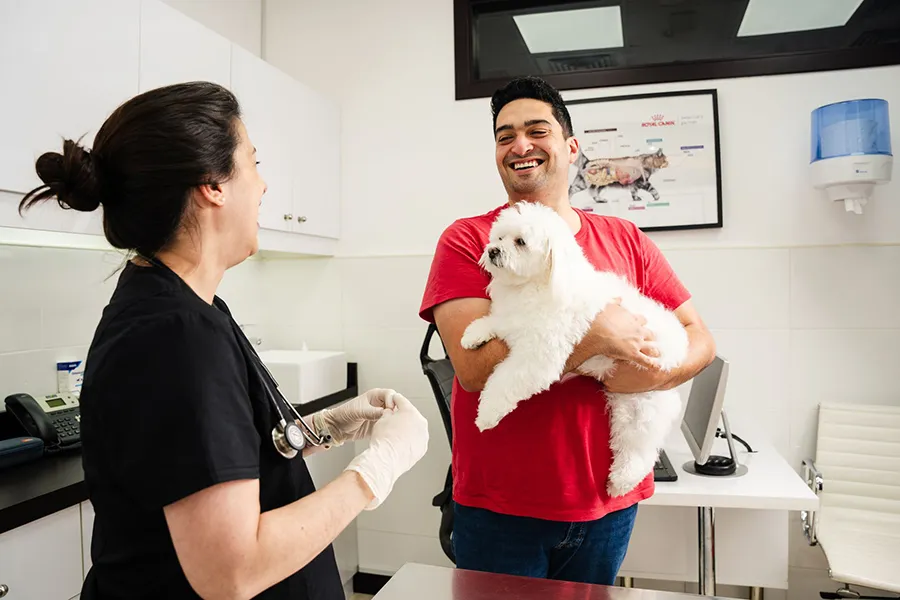 A pet owner is talking to a veterinarian about his dog's condition.