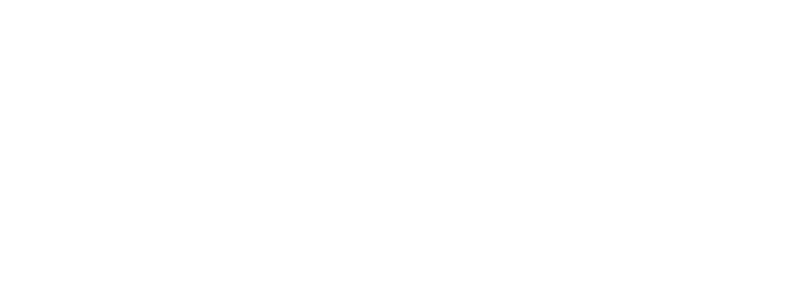Deel Logo White