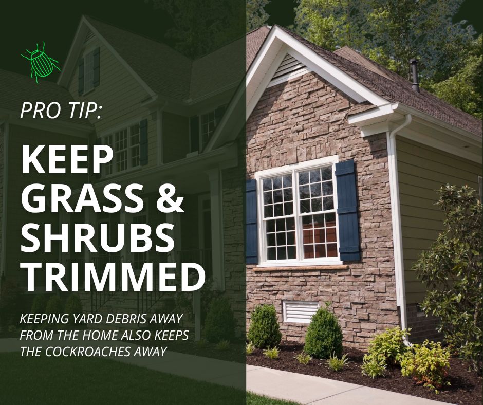 A graphic showing a neatly landscaped house exterior with text reading "Pro Tip: Keep grass & shrubs trimmed. Keeping yard debris away from the home also keeps the cockroaches away."