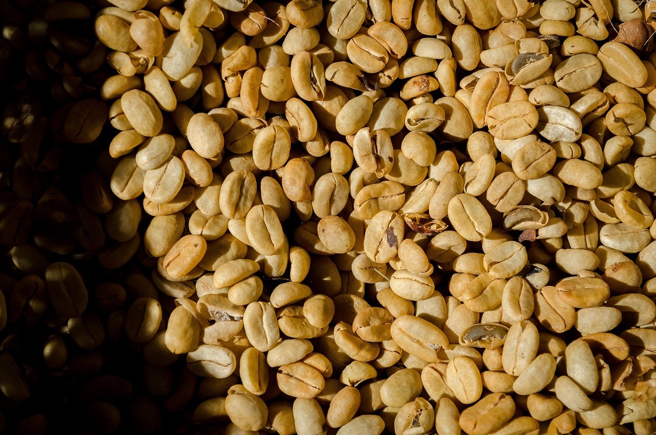 Monsooned Malabar