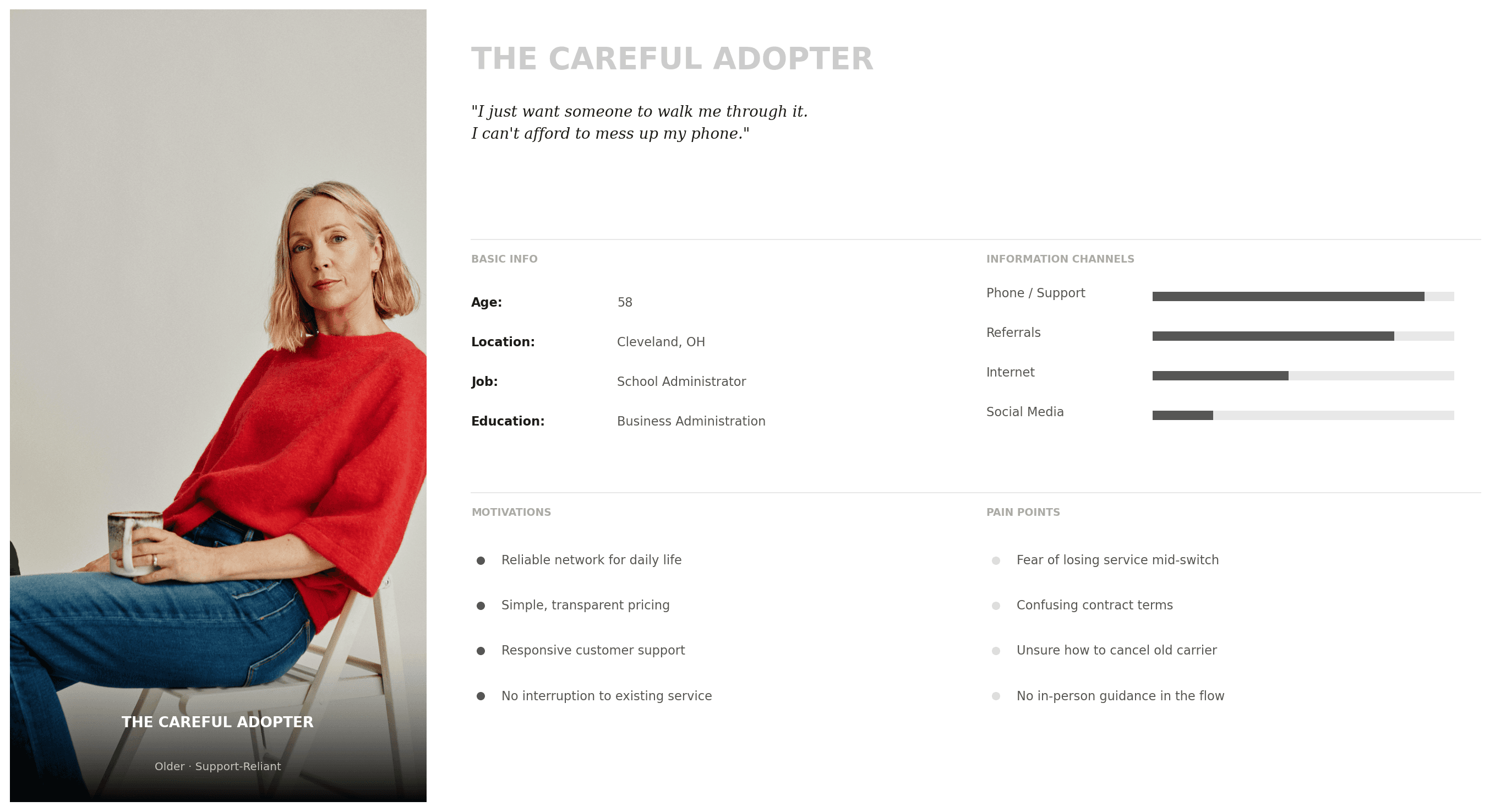 The Careful Adopter persona