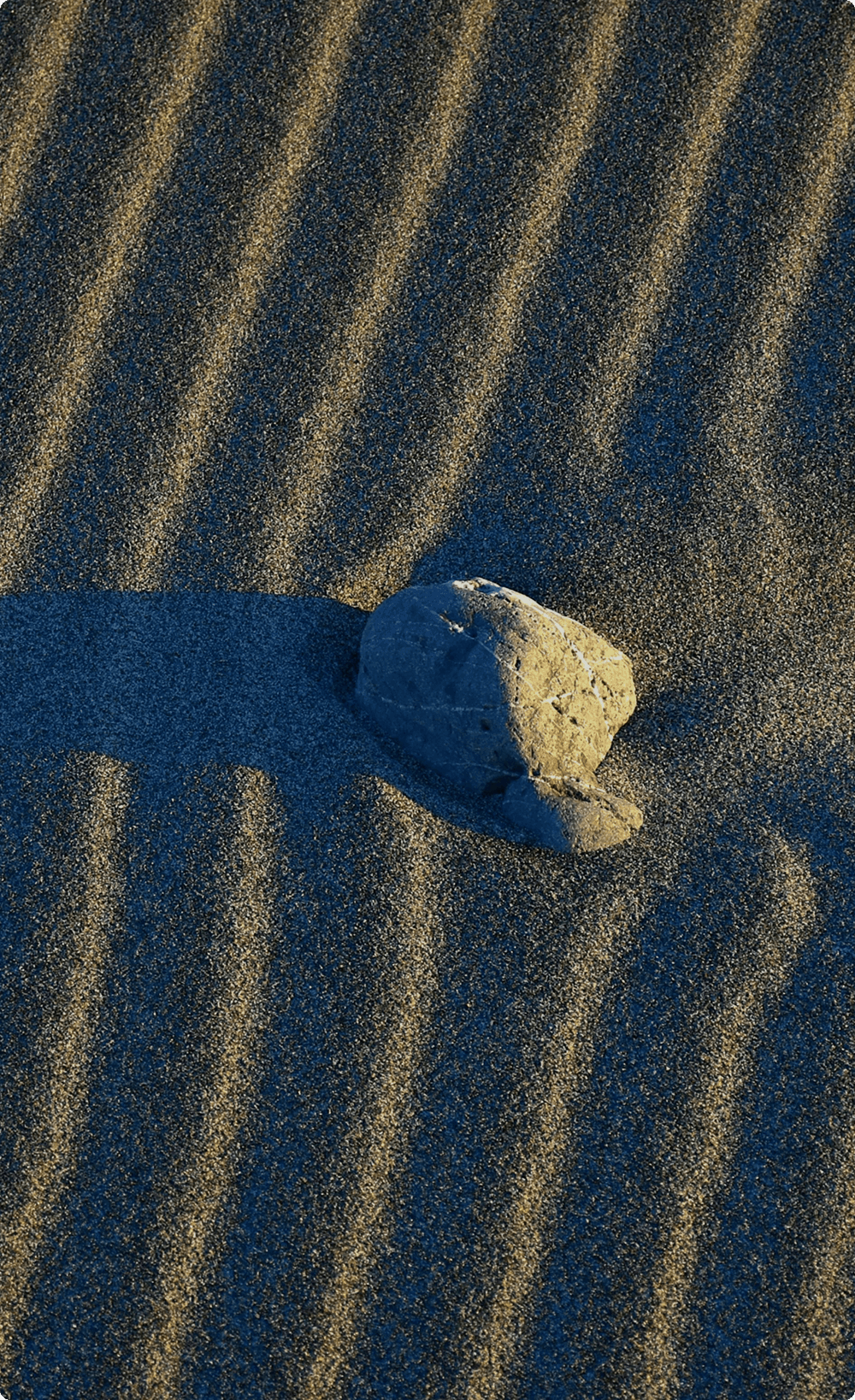  A high-angle shot of a single rock on a sandy beach, casting a long shadow across a rhythmic pattern of wind-rippled sand dunes in the low evening light.