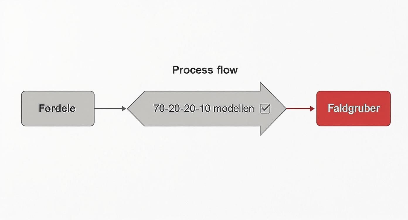 Diagram der viser procesflowet for 70-20-20-10 modellen, fra fordele til faldgruber.