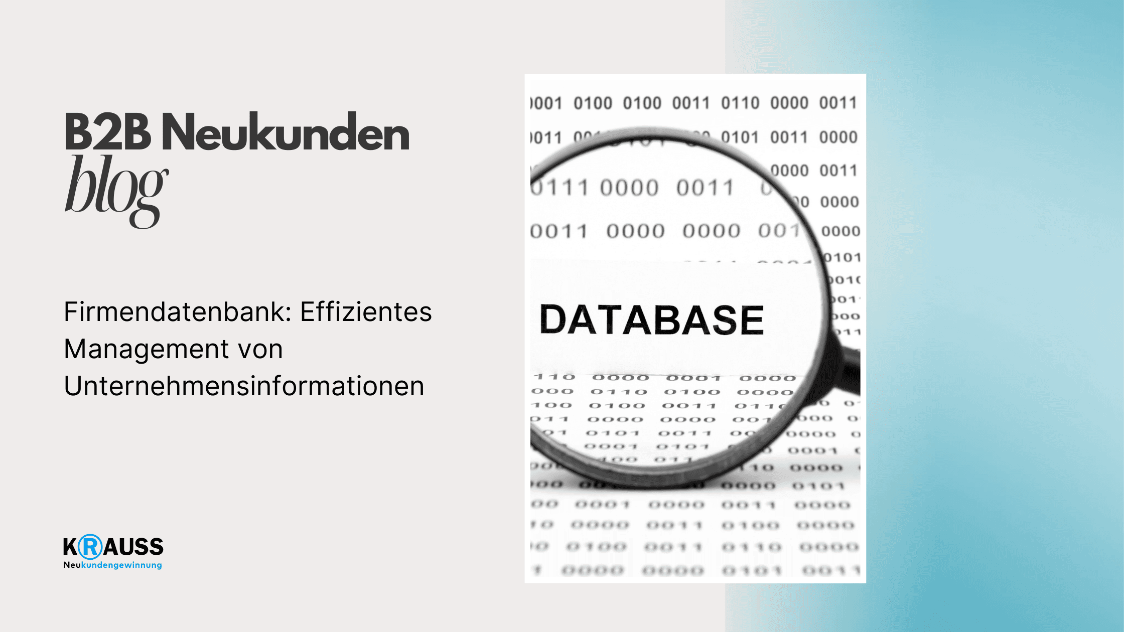Firmendatenbank: Effizientes Management von Unternehmensinformationen