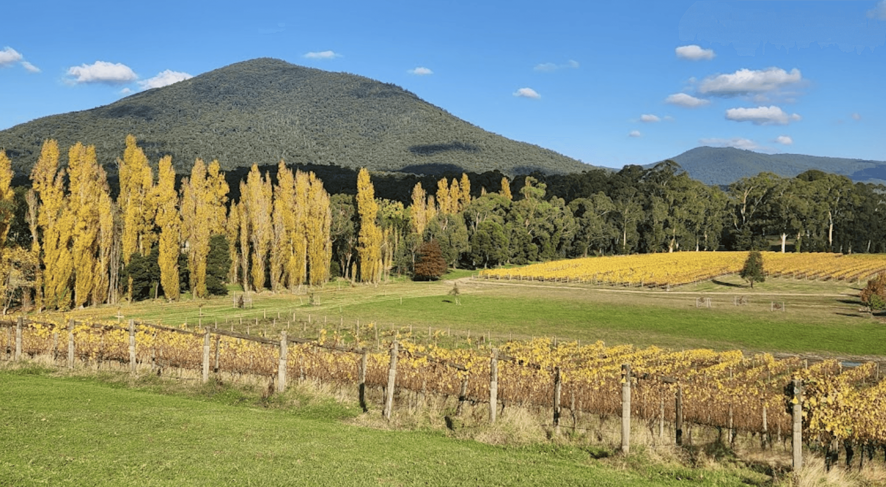 Boat O'Craigo winery