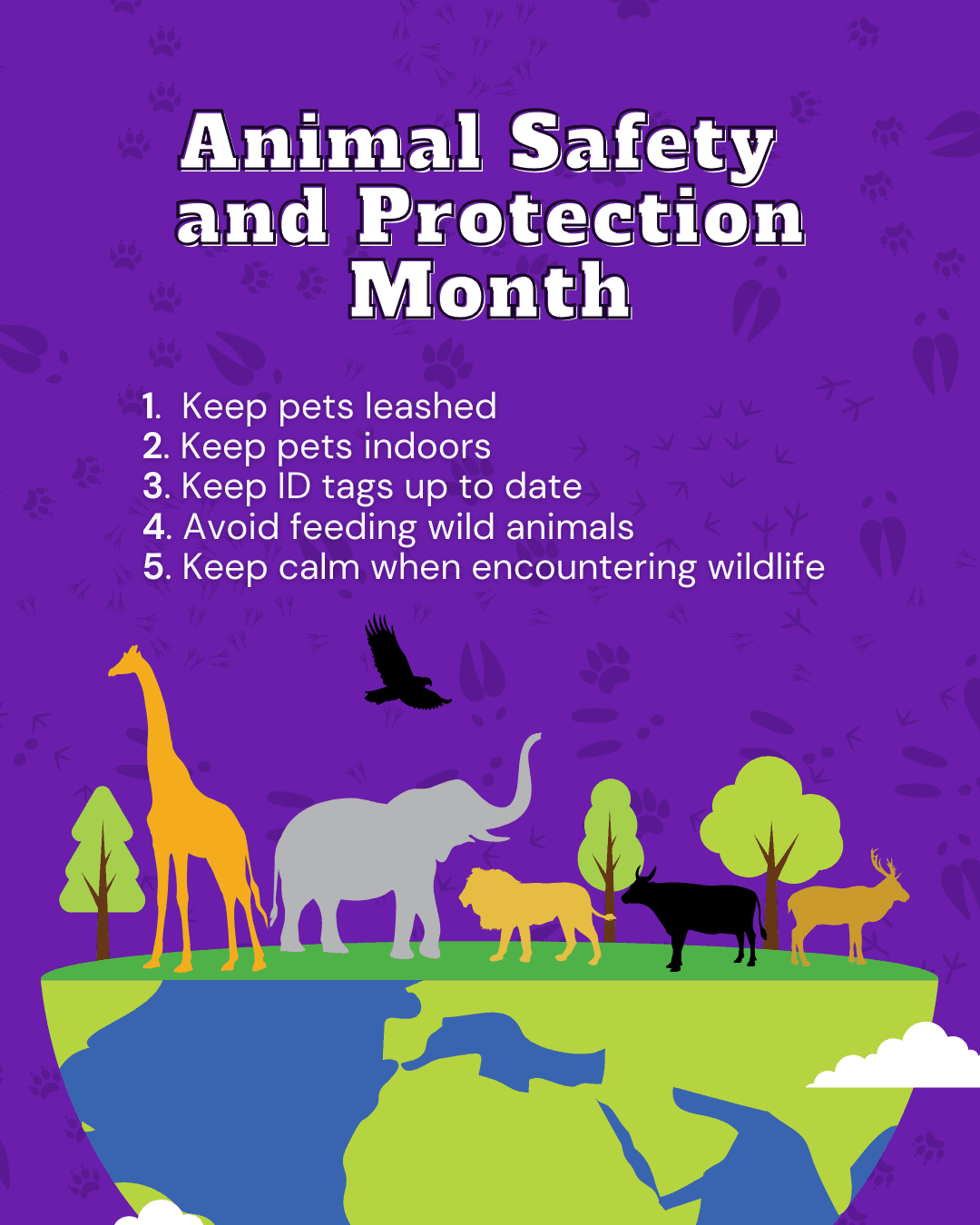 National Animal Safety and Protection Month: